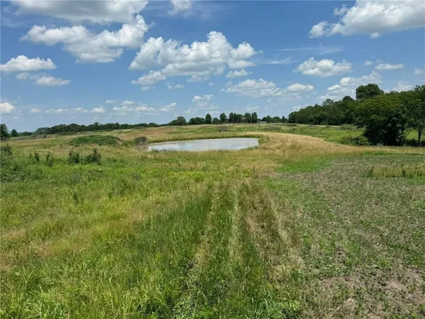 $600,000 | 151 Road Norborne Mo 64668, Norborne, MO 64668