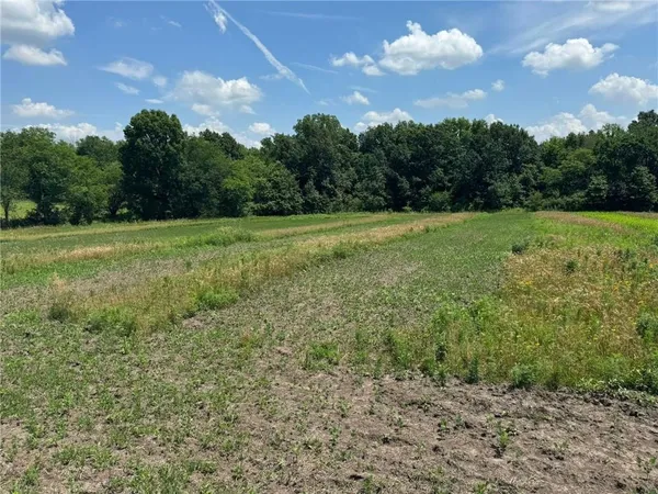 $600,000 | 151 Road Norborne Mo 64668, Norborne, MO 64668