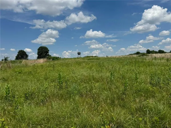 $600,000 | 151 Road Norborne Mo 64668, Norborne, MO 64668