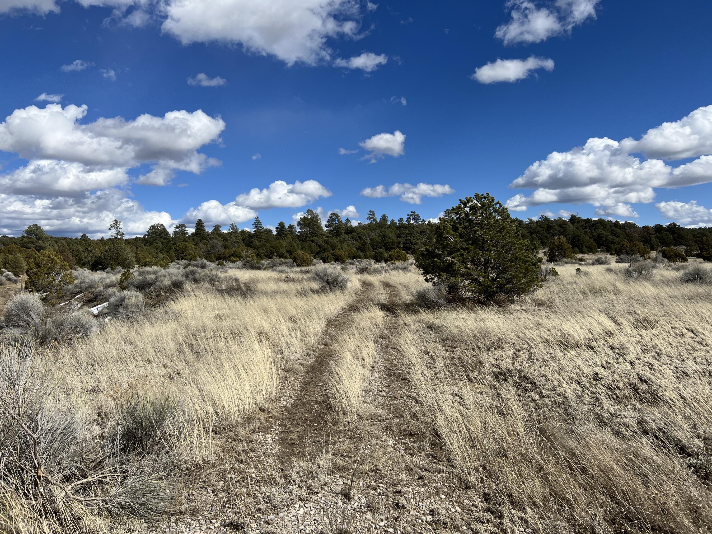 Lot 14 Candy Kitchen Road Ramah, NM 87357 - Photo 26 of 41 Gallery Image 26
