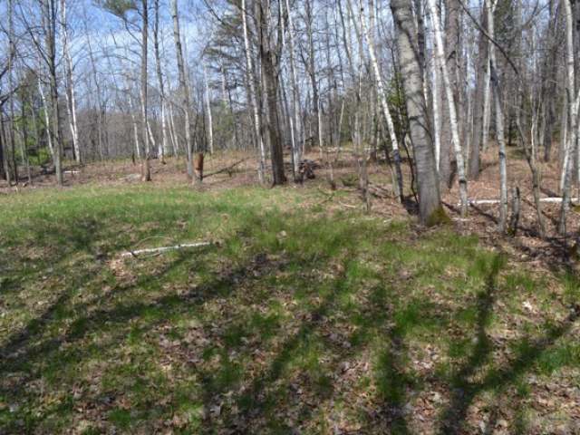 On Hillside Court Rhinelander, WI 54501 - Photo 8 of 16 Gallery Image 8