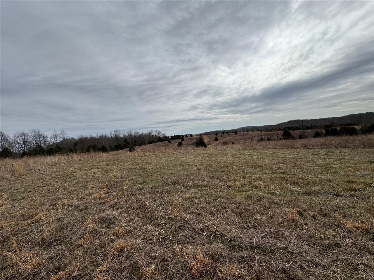 463 Charlie Shepard Road Morgantown, KY 42261 - Photo 38 of 81 Gallery Image 38