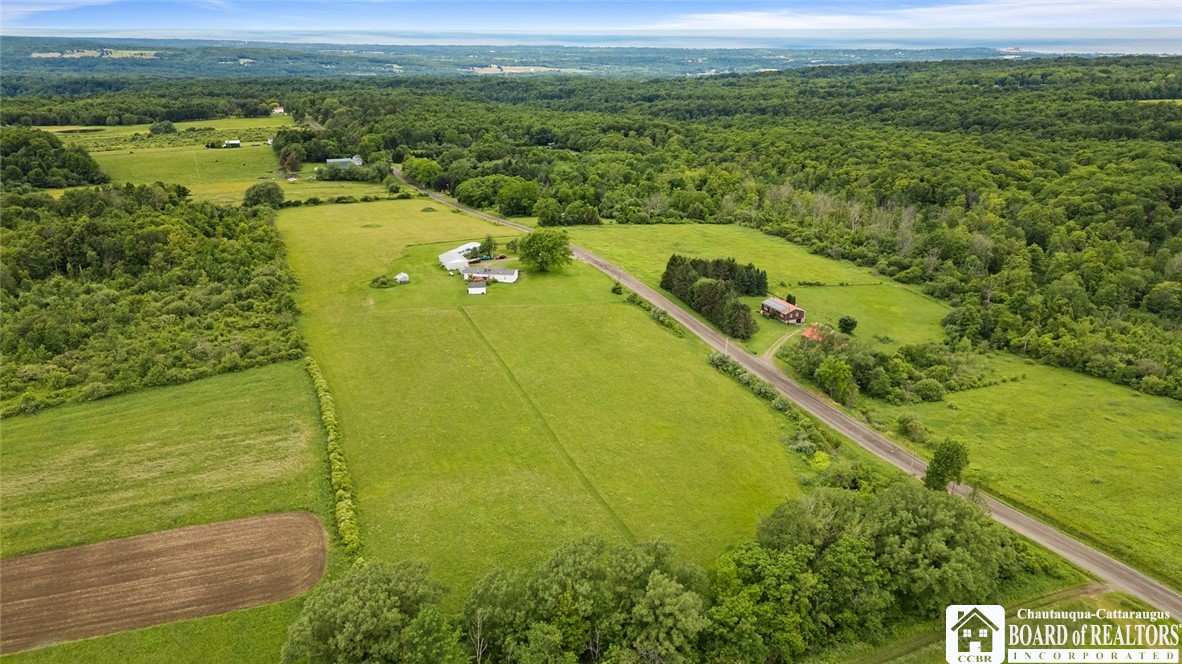 2795 Ball Road Cassadaga, NY 14718 - Photo 9 of 44