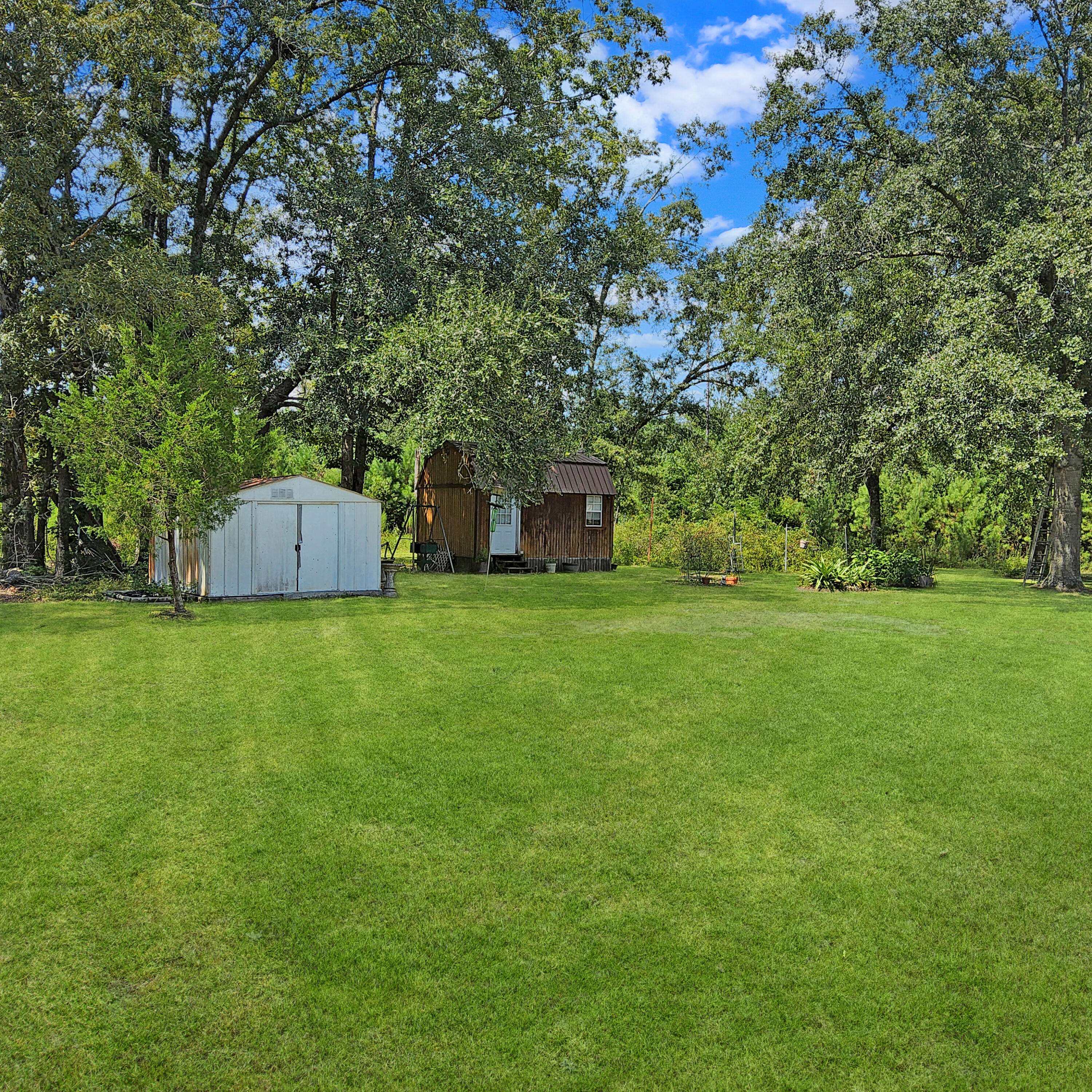 186 Training Road Eutawville, SC 29048 - Photo 27 of 45 20250825_142216