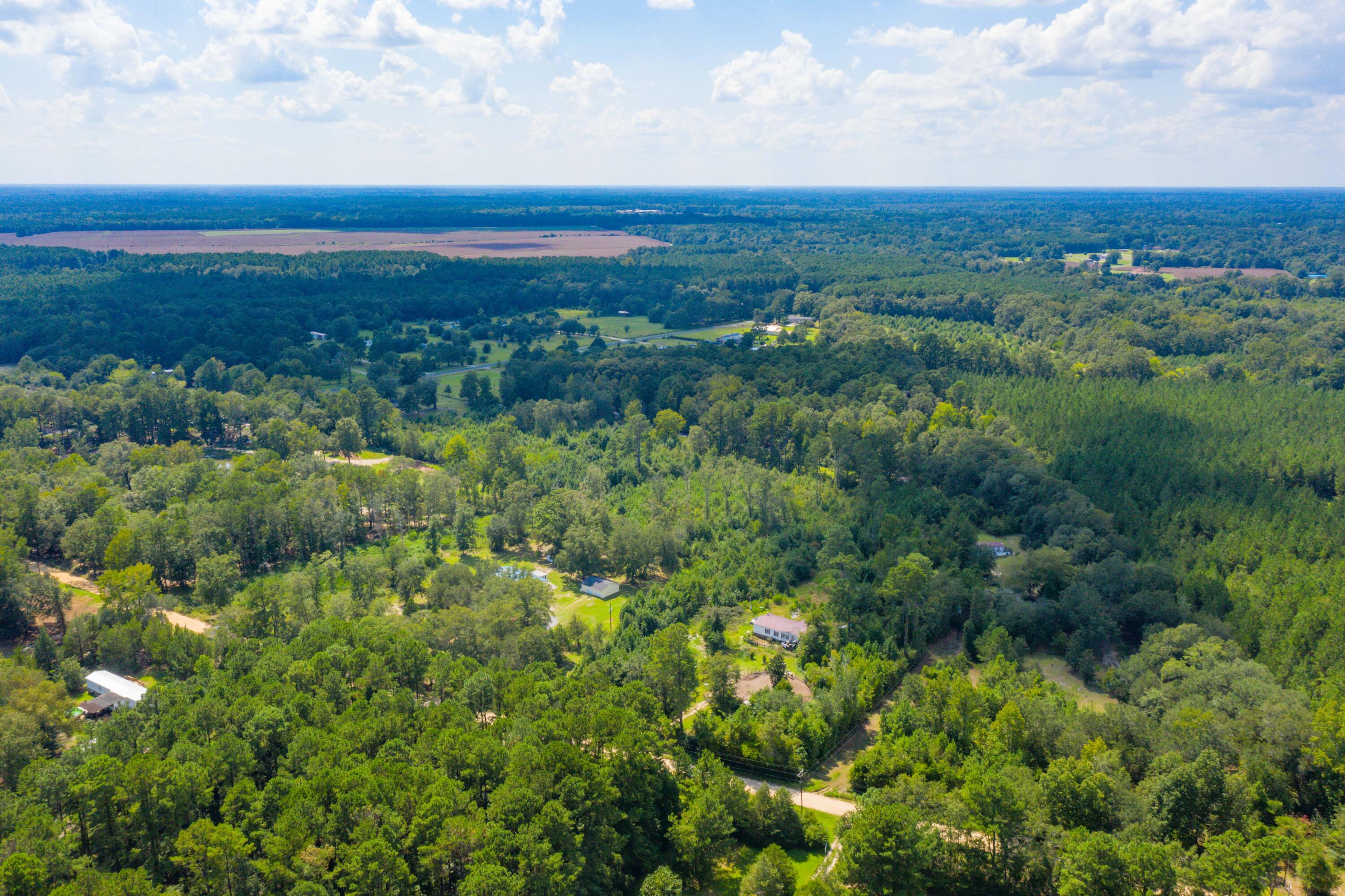 186 Training Road Eutawville, SC 29048 - Photo 32 of 45 DJI_0602