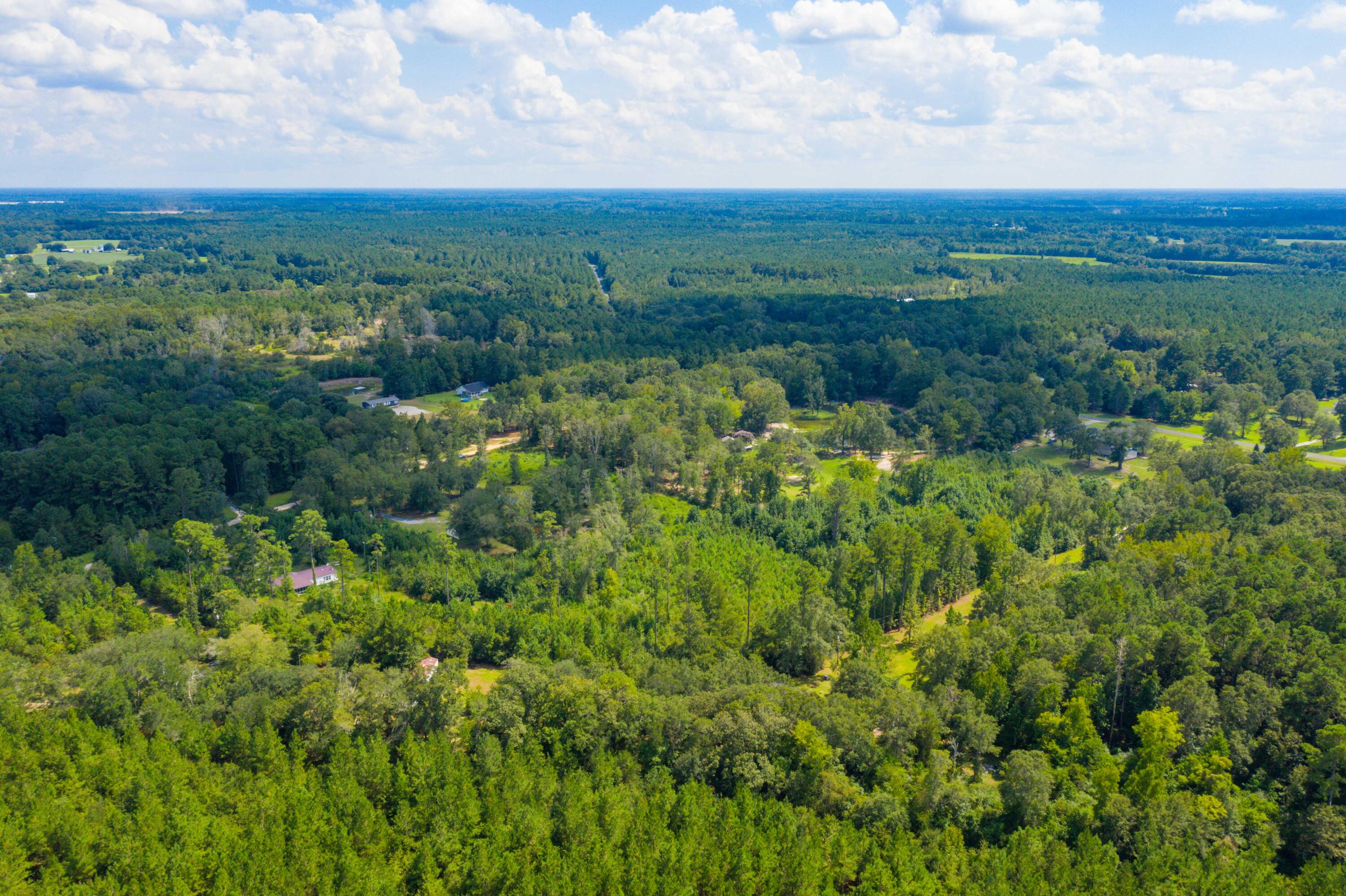 186 Training Road Eutawville, SC 29048 - Photo 34 of 45 DJI_0604