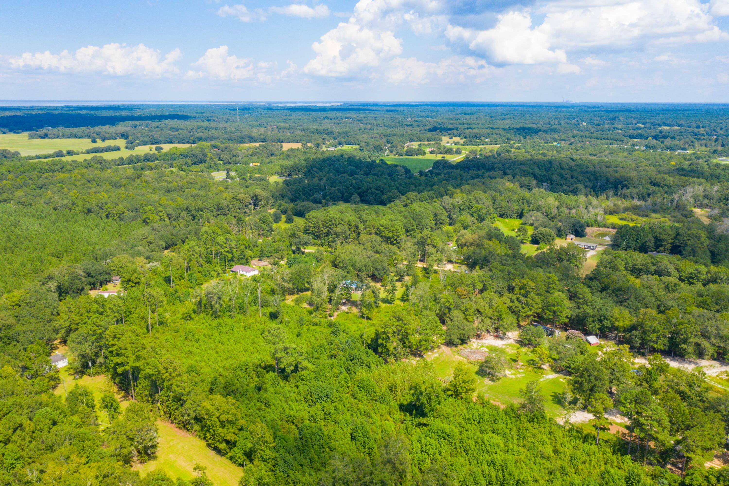 186 Training Road Eutawville, SC 29048 - Photo 36 of 45 DJI_0606