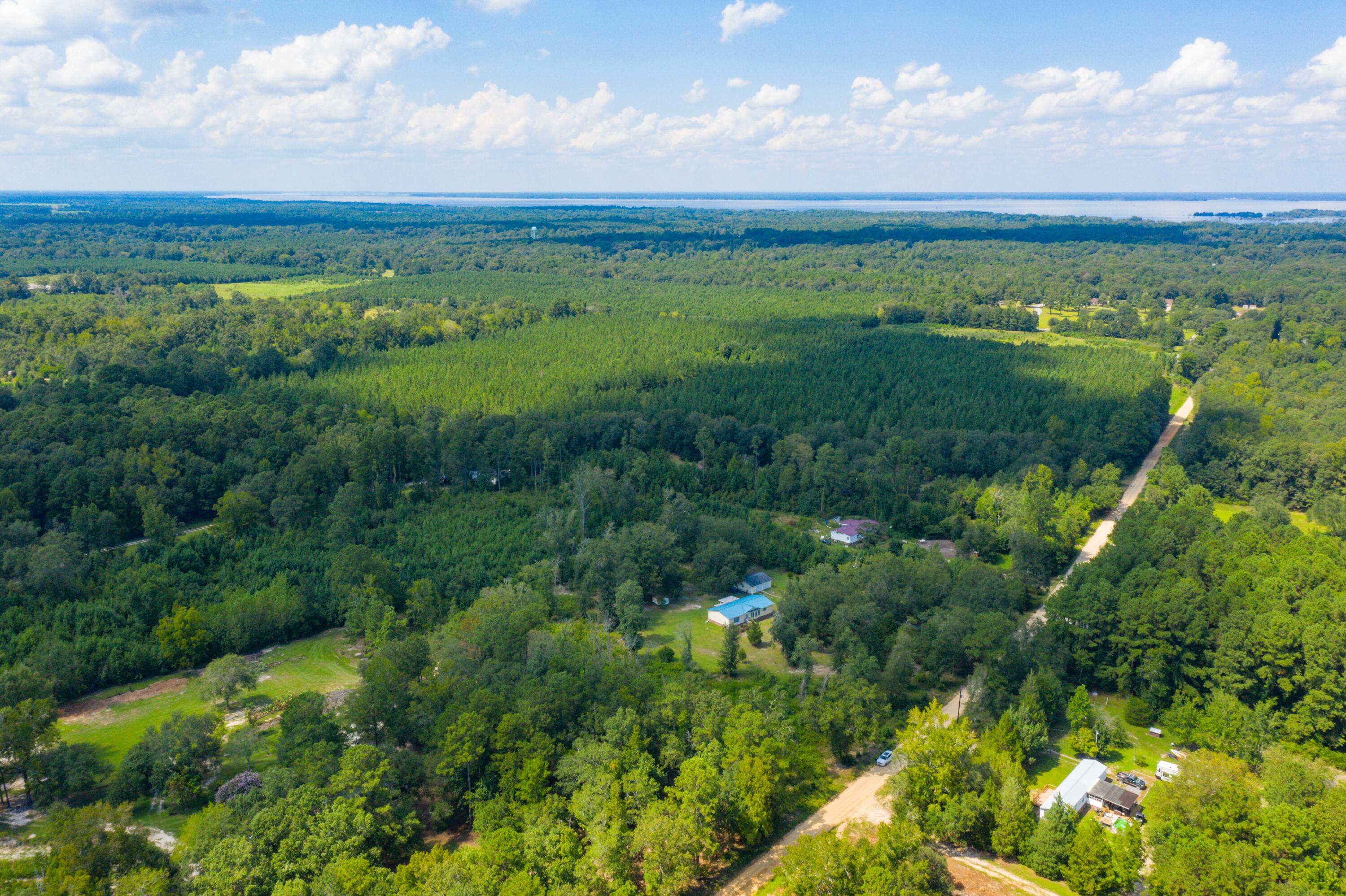 186 Training Road Eutawville, SC 29048 - Photo 38 of 45 DJI_0608
