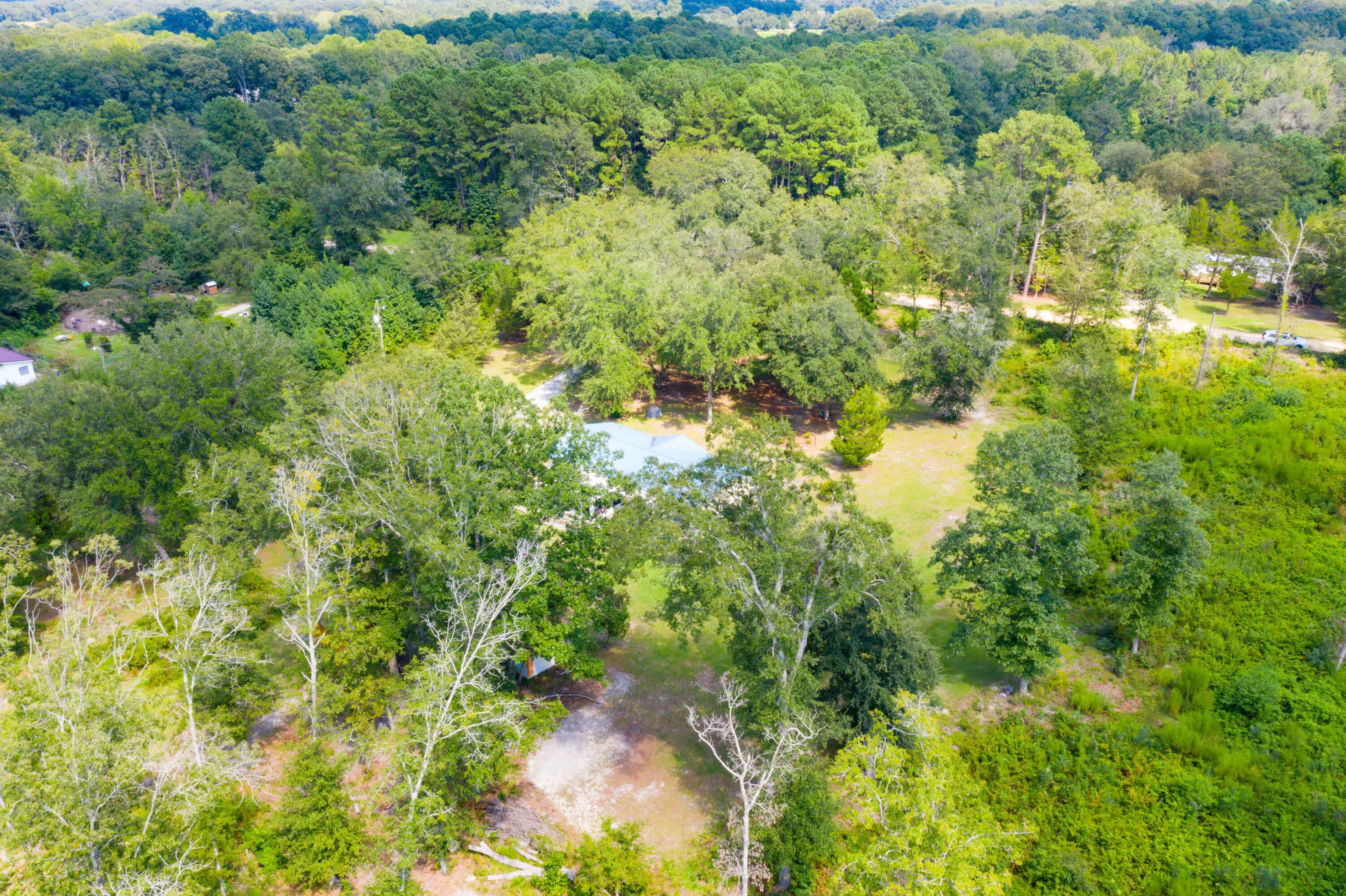 186 Training Road Eutawville, SC 29048 - Photo 45 of 45 DJI_0615