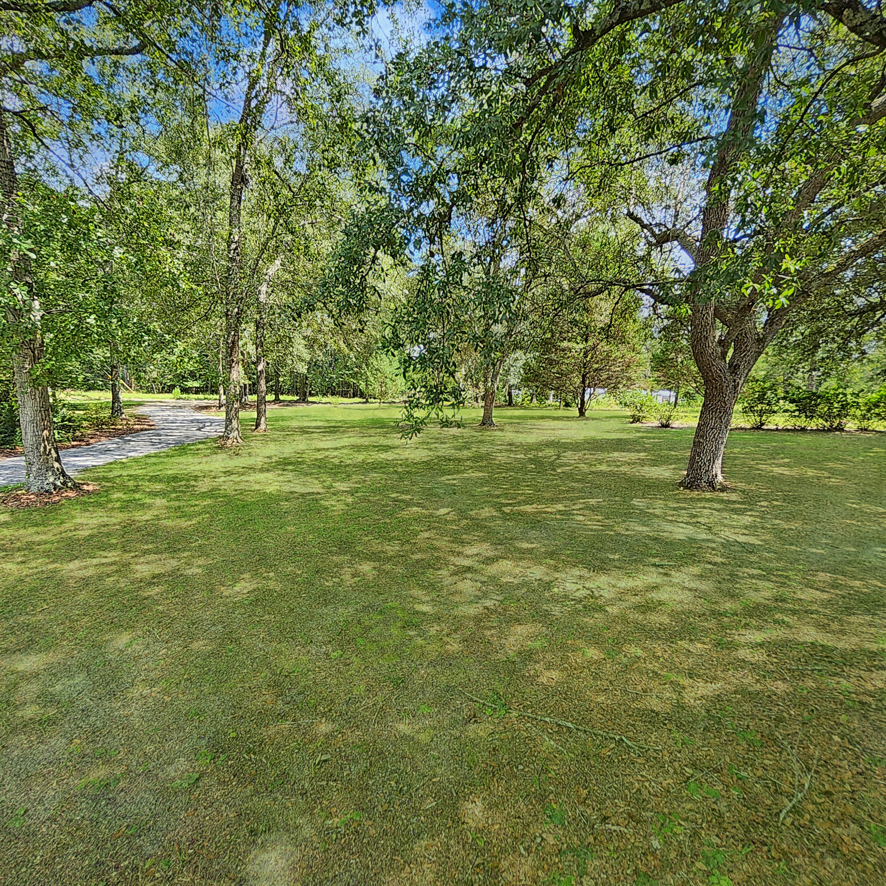 186 Training Road Eutawville, SC 29048 - Photo 8 of 45 20250825_142055