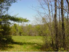 0 Camp Road Hubbardton, VT 05732 - Photo 2 of 12