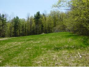 0 Camp Road Hubbardton, VT 05732 - Photo 12 of 12