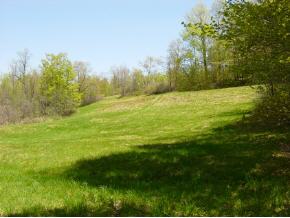 0 Camp Road Hubbardton, VT 05732 - Photo 3 of 12