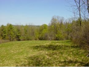0 Camp Road Hubbardton, VT 05732 - Photo 4 of 12