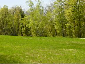 0 Camp Road Hubbardton, VT 05732 - Photo 5 of 12