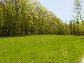 0 Camp Road Hubbardton, VT 05732 - Photo 6 of 12