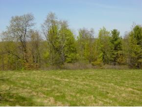 0 Camp Road Hubbardton, VT 05732 - Photo 9 of 12