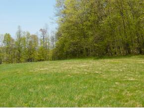 0 Camp Road Hubbardton, VT 05732 - Photo 10 of 12