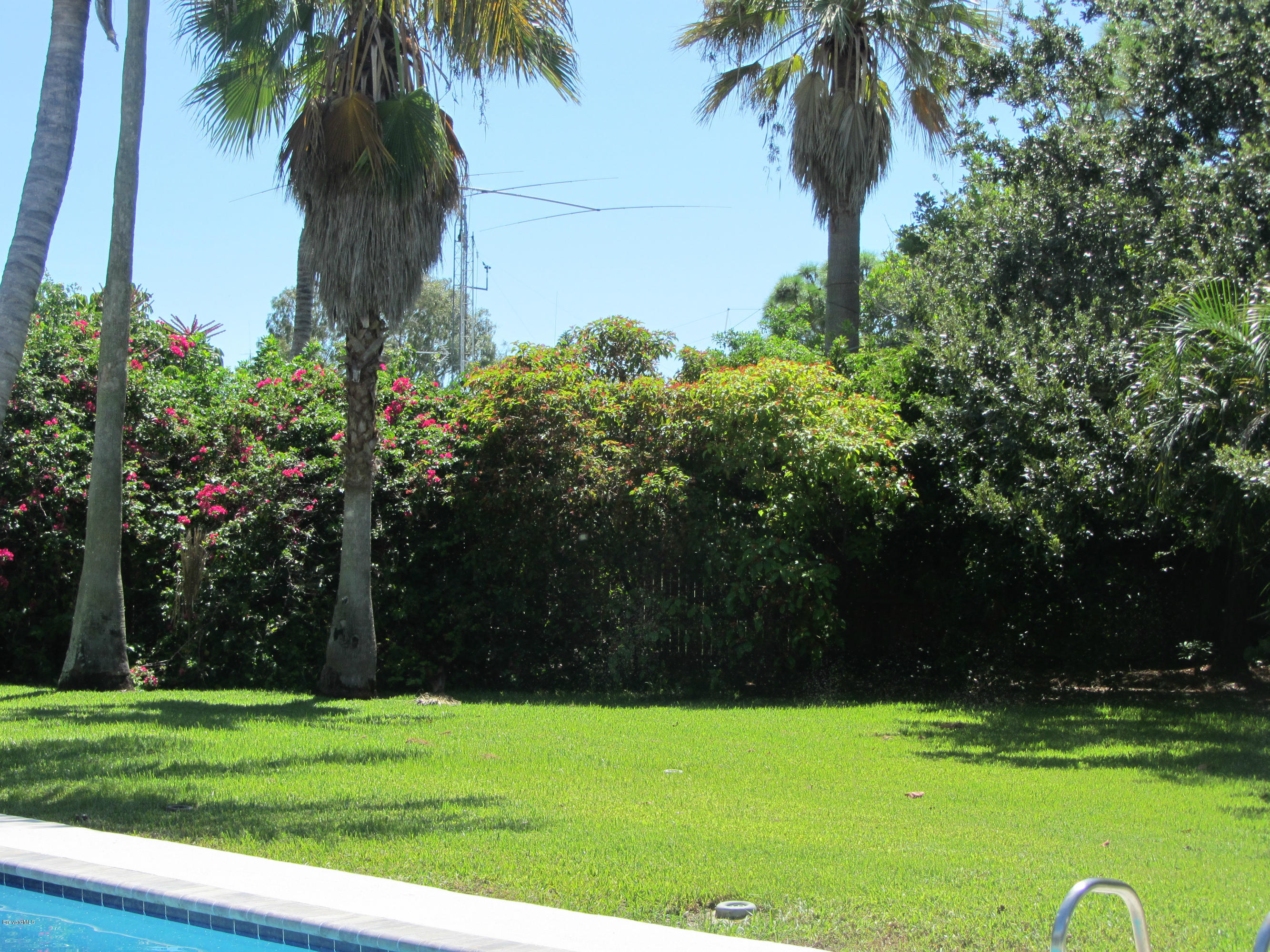 Rear yard