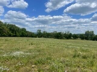 2 Clark Road Rutledge, TN 37861 - Photo 7 of 8 a view of a field with clear sky