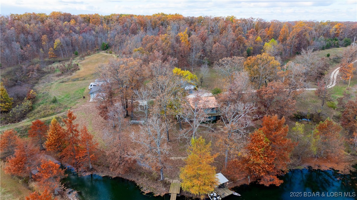 6464 Kolb Hollow Road Climax Springs, MO 65324 - Photo 40 of 51