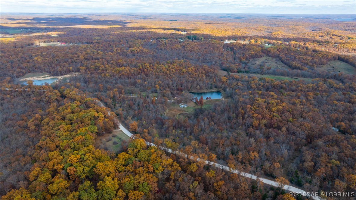 6464 Kolb Hollow Road Climax Springs, MO 65324 - Photo 42 of 51