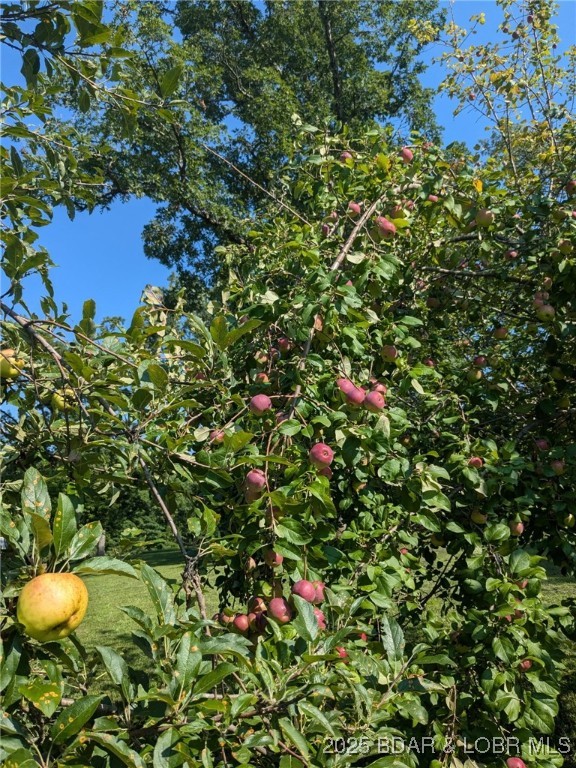 6464 Kolb Hollow Road Climax Springs, MO 65324 - Photo 43 of 51