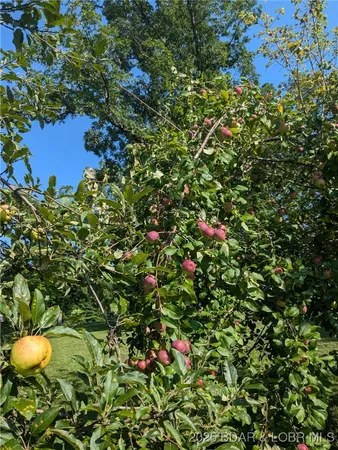 $789,999 | 6464 Kolb Hollow Road, Climax Springs, MO 65324