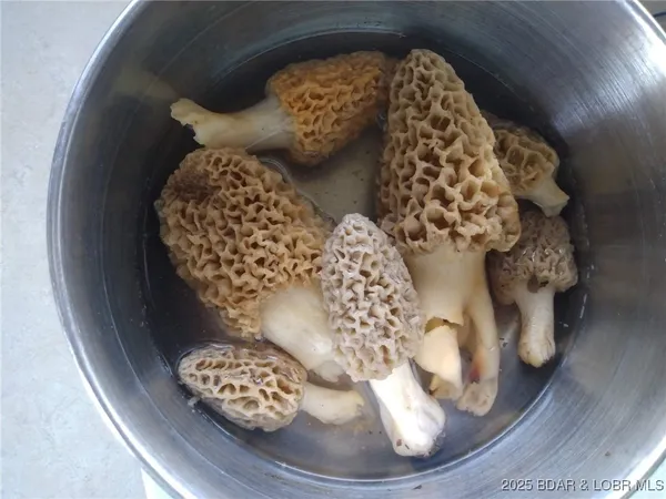 $789,999 | 6464 Kolb Hollow Road, Climax Springs, MO 65324