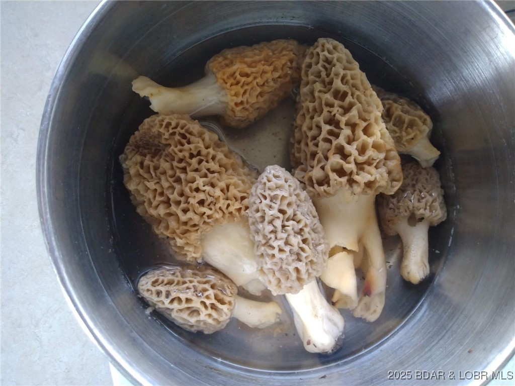 6464 Kolb Hollow Road Climax Springs, MO 65324 - Photo 45 of 51