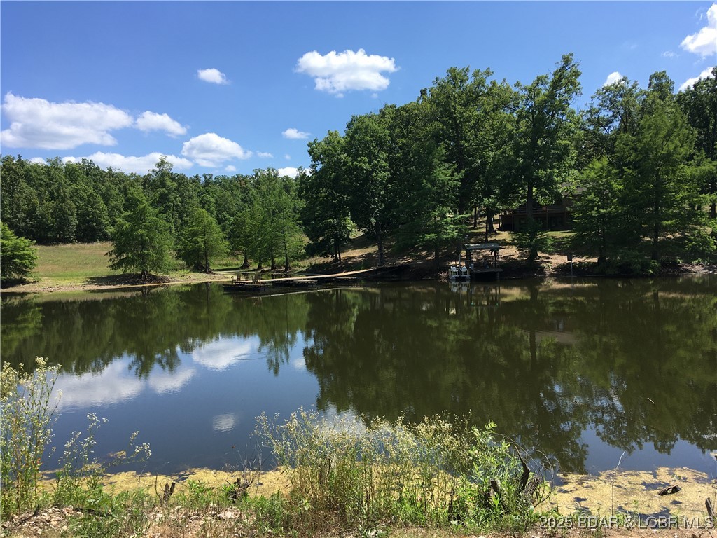 6464 Kolb Hollow Road Climax Springs, MO 65324 - Photo 49 of 51