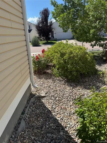 a view of a yard with pathway