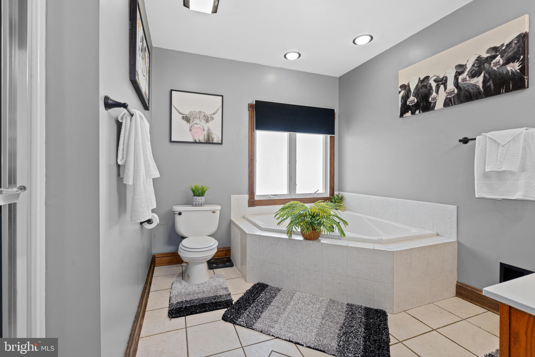 7808 Deboy Avenue Baltimore, MD 21222 - Photo 21 of 36 a living room with furniture and a potted plant