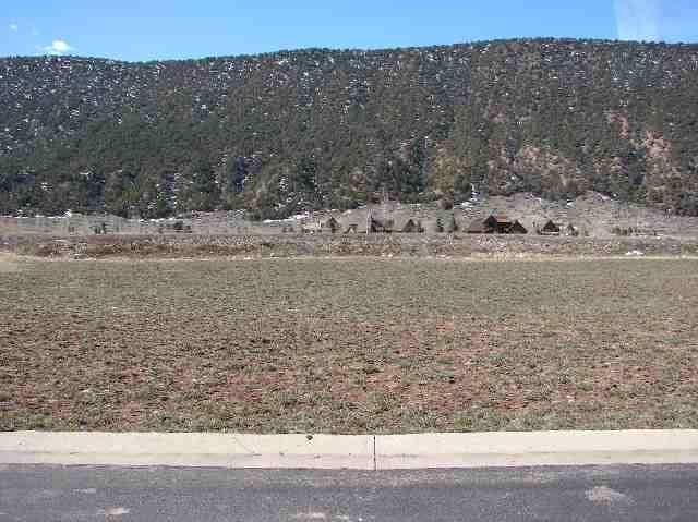 147 Midland Loop Carbondale, CO 81623 - Photo 3 of 6 a view of a dry yard with trees
