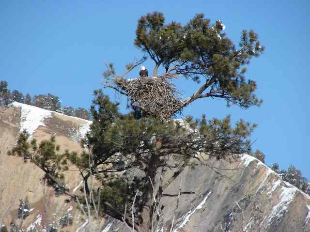 147 Midland Loop Carbondale, CO 81623 - Photo 4 of 6