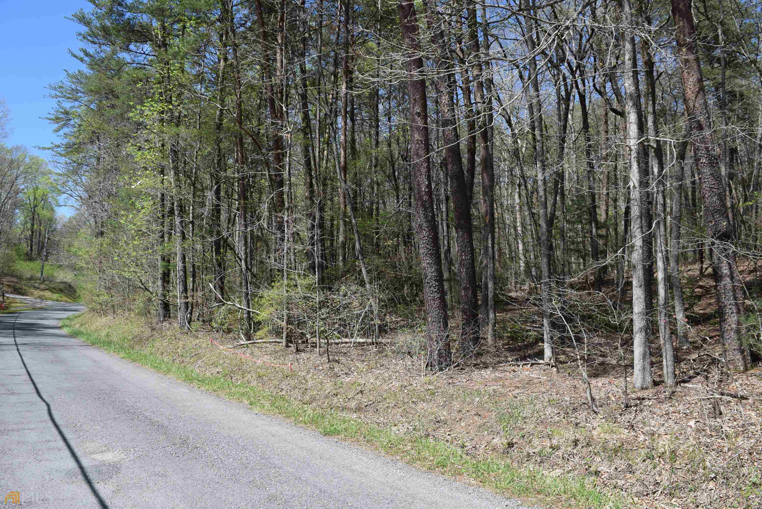 4.38-ac Tickanetley Road Ellijay, GA 30536 - Photo 1 of 1 a backyard of a house with large trees and plants