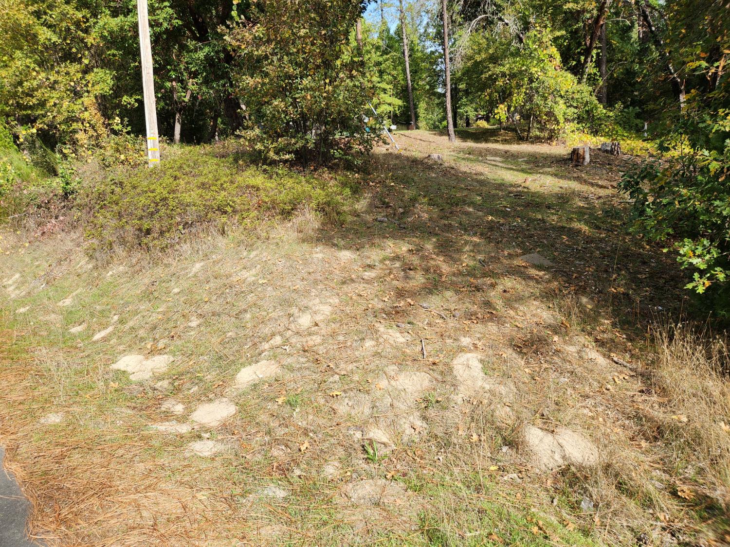 13786 Moonshine Road Camptonville, CA 95922 - Photo 12 of 53