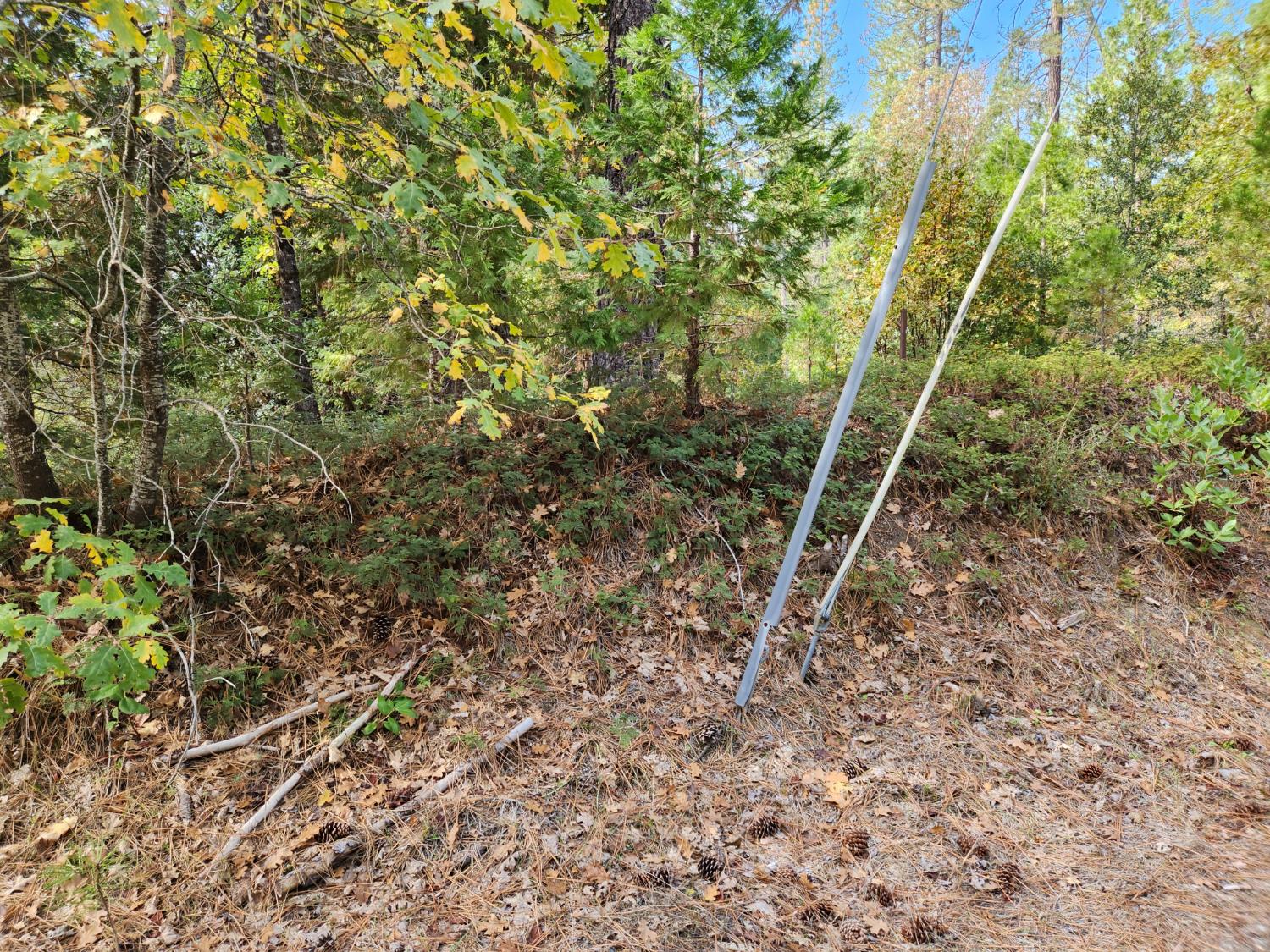 13786 Moonshine Road Camptonville, CA 95922 - Photo 13 of 53