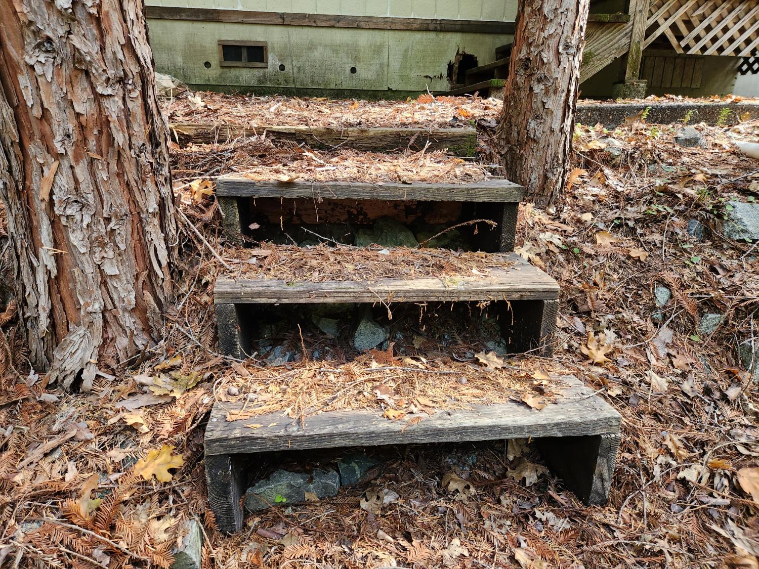 13786 Moonshine Road Camptonville, CA 95922 - Photo 17 of 53