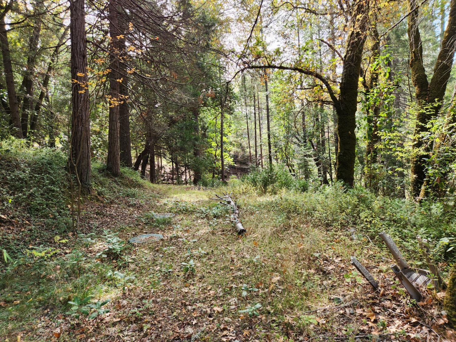 13786 Moonshine Road Camptonville, CA 95922 - Photo 18 of 53