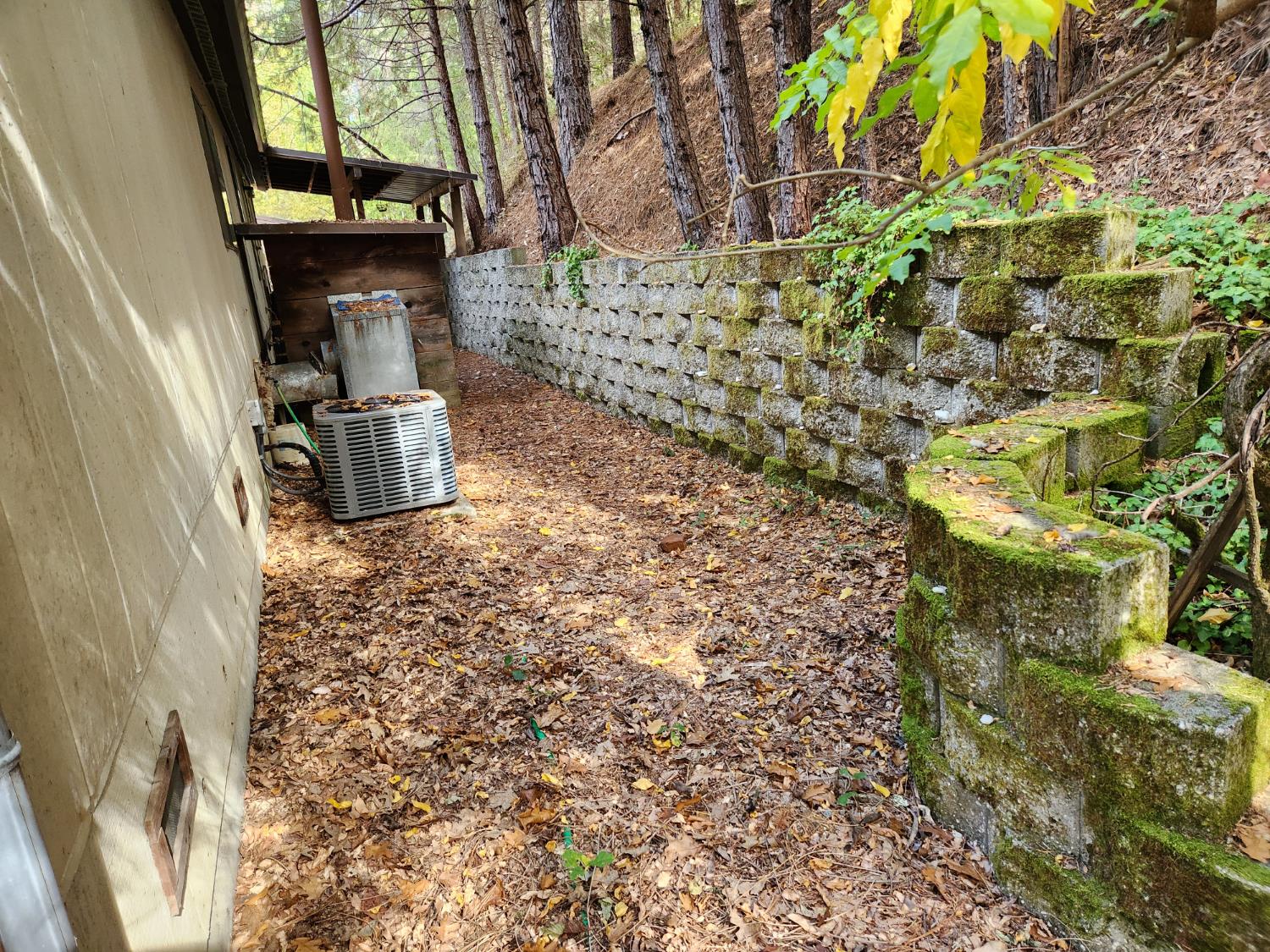 13786 Moonshine Road Camptonville, CA 95922 - Photo 20 of 53