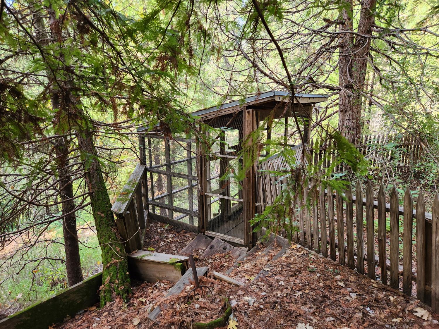 13786 Moonshine Road Camptonville, CA 95922 - Photo 2 of 53