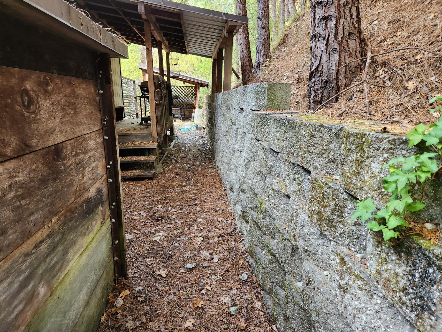 13786 Moonshine Road Camptonville, CA 95922 - Photo 25 of 53