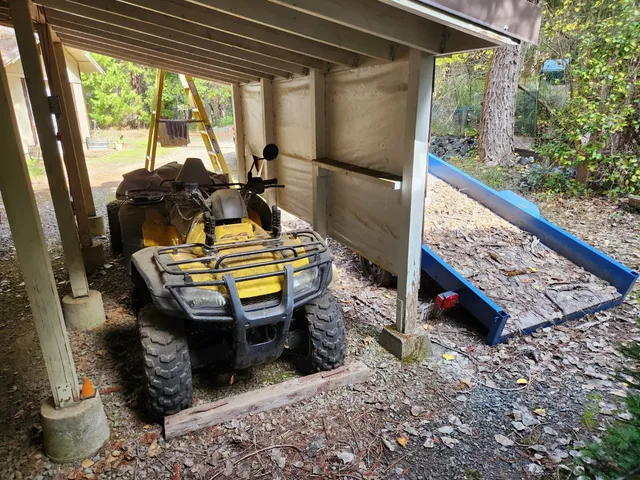 a view of a yard with plants and trees