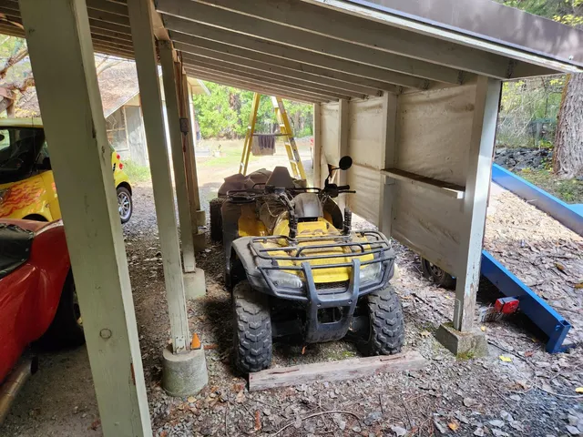 a view of a yard with plants and trees