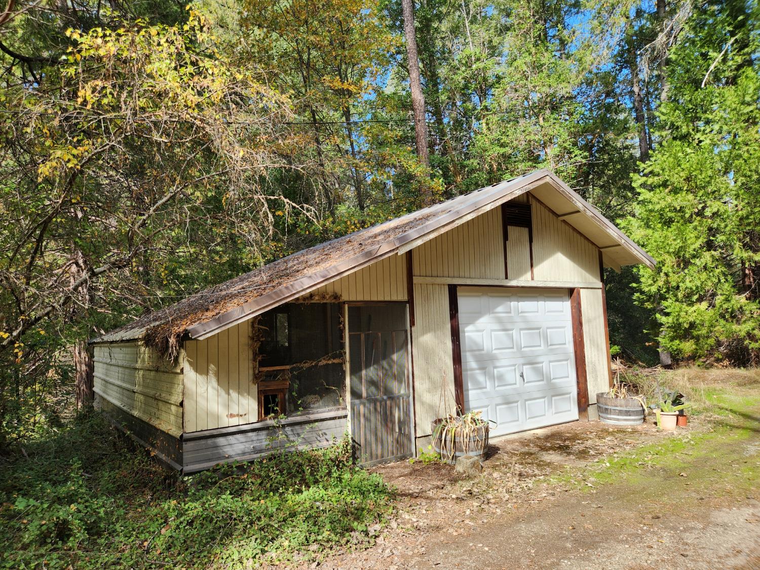 13786 Moonshine Road Camptonville, CA 95922 - Photo 5 of 53