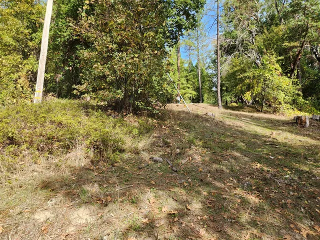 a view of a yard with trees