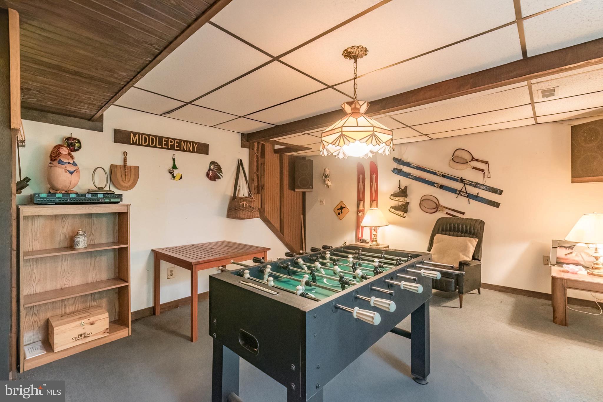 85 Valley View Road Basye, VA 22842 - Photo 46 of 54