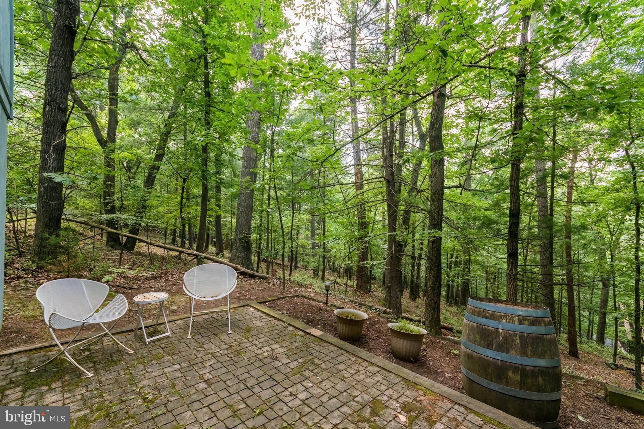 85 Valley View Road Basye, VA 22842 - Photo 48 of 54