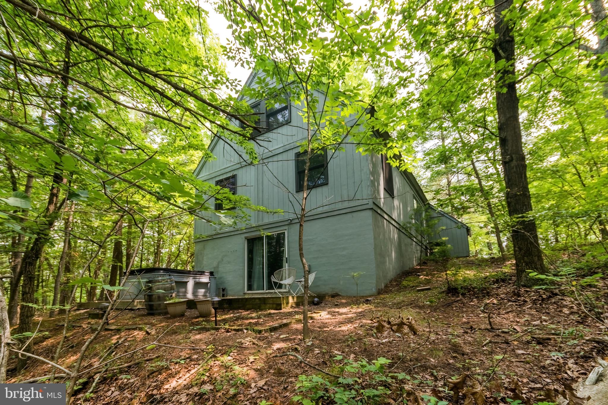 85 Valley View Road Basye, VA 22842 - Photo 50 of 54